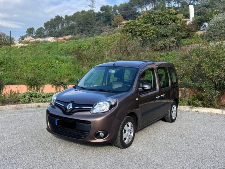 Renault Kangoo - TPMR