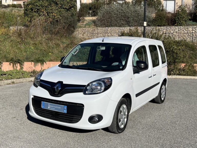 Renault Kangoo TPMR